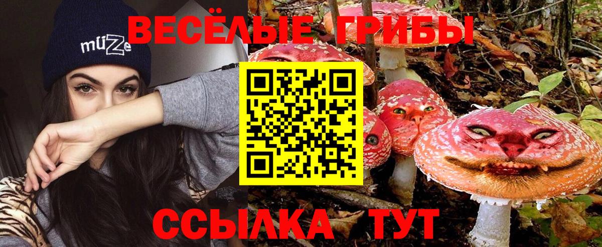Канск  Галлюциногенные грибы мухоморы  Вход с VPN  Псилоцибиновые грибы GOLDEN TEACHER 